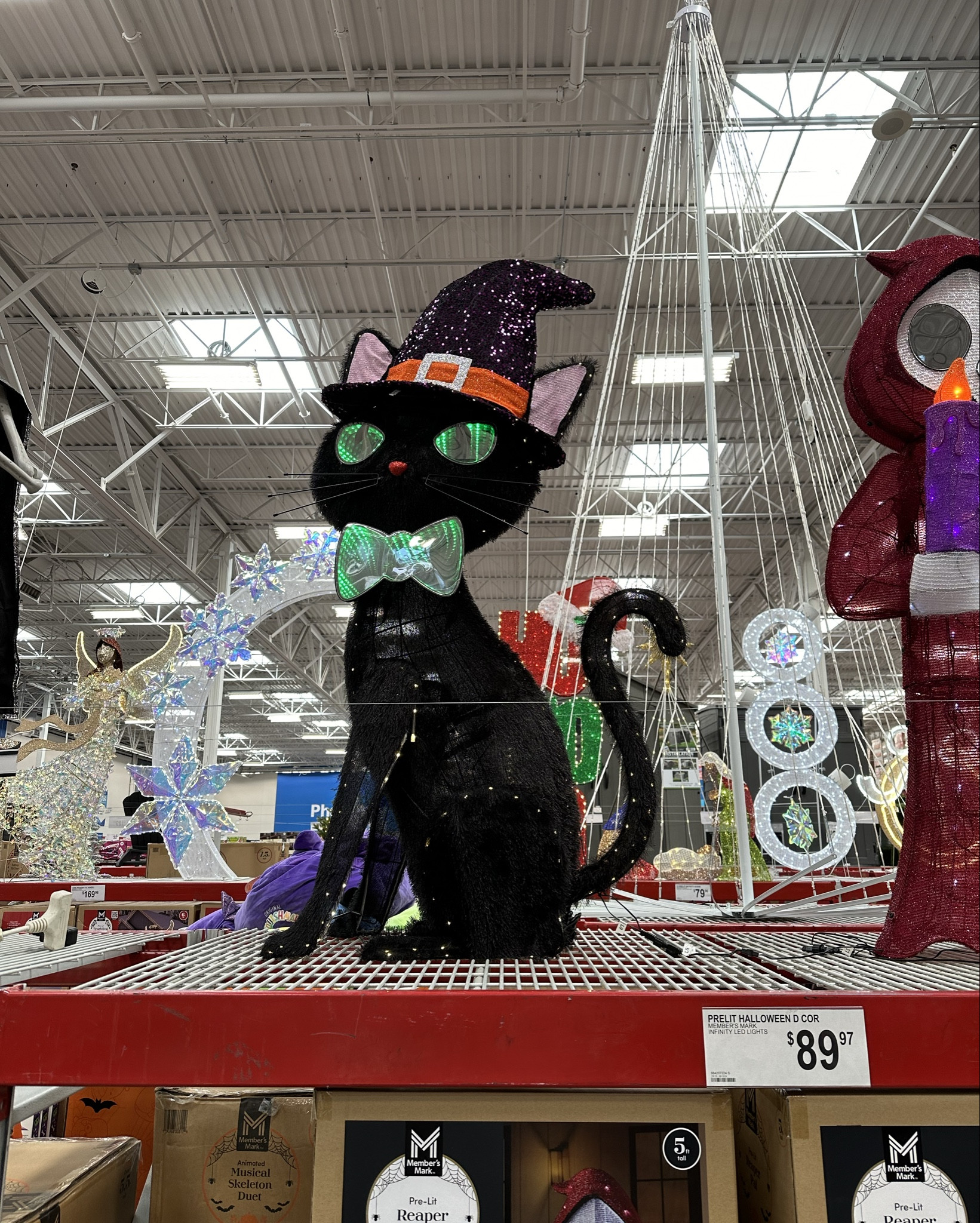Halloween yard decor from Sam’s
🐈‍⬛🕷️

*I always like to see the real deal vs a product photo online, so I thought y’all might too! 


@Morgan.Speiser 
Halloween decor, yard decor, seasonal decor, yard decorations, light up Halloween decorations, spooky spider, spooky cat. 

#LTKHalloween #LTKHoliday #LTKSeasonal
