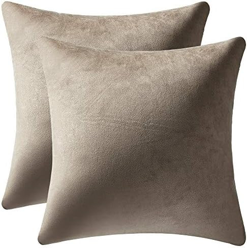Decorative Pillow Covers 20x20 Taupe: 2 Pack Cozy Soft Velvet Square Throw Pillow Cases for Farmh... | Amazon (US)