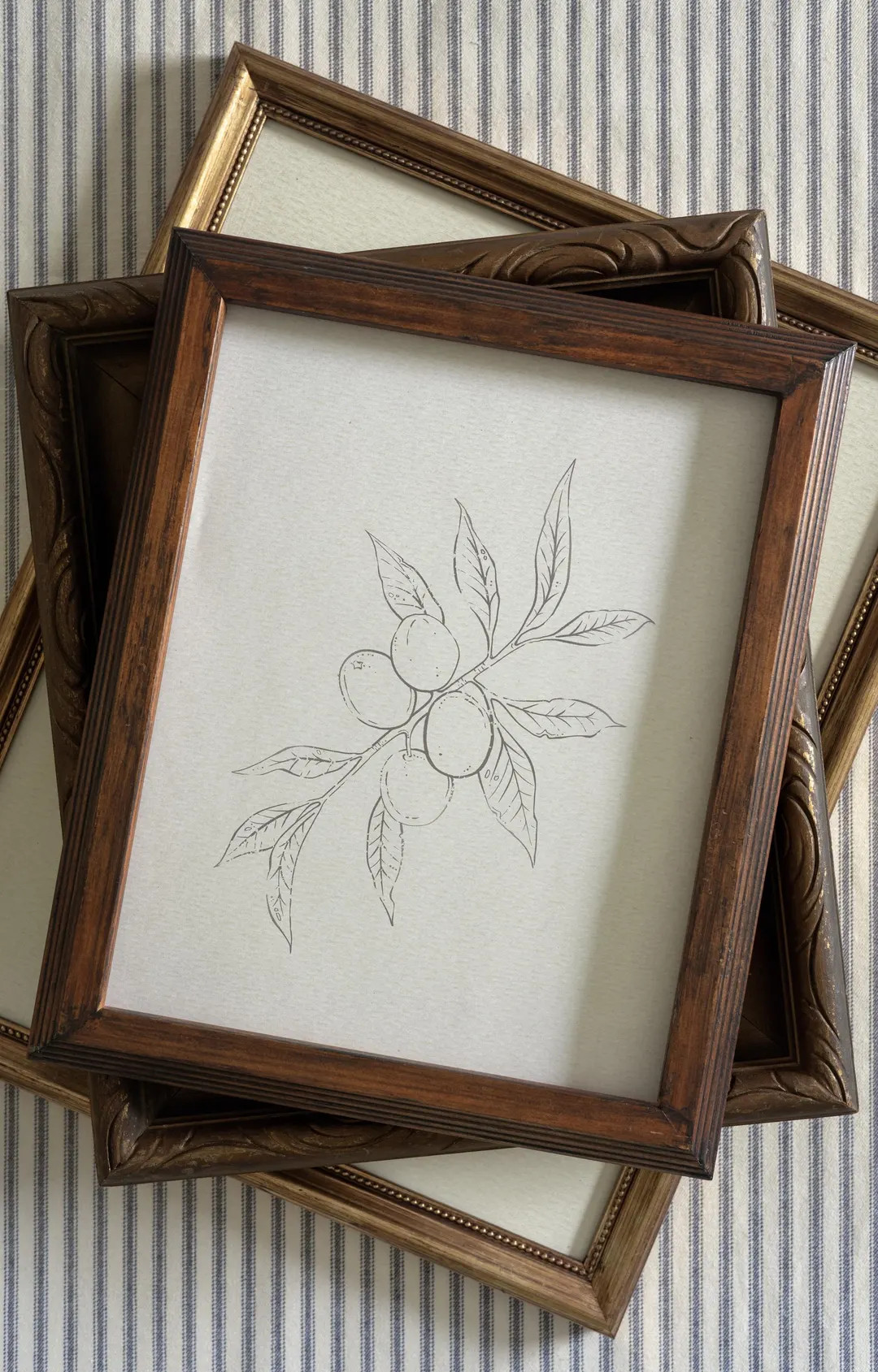 Vintage Botanical Olive Branch Print Hand Drawn Sketch, Neutral Wall Art Decor, Antique Inspired ... | Etsy (US)