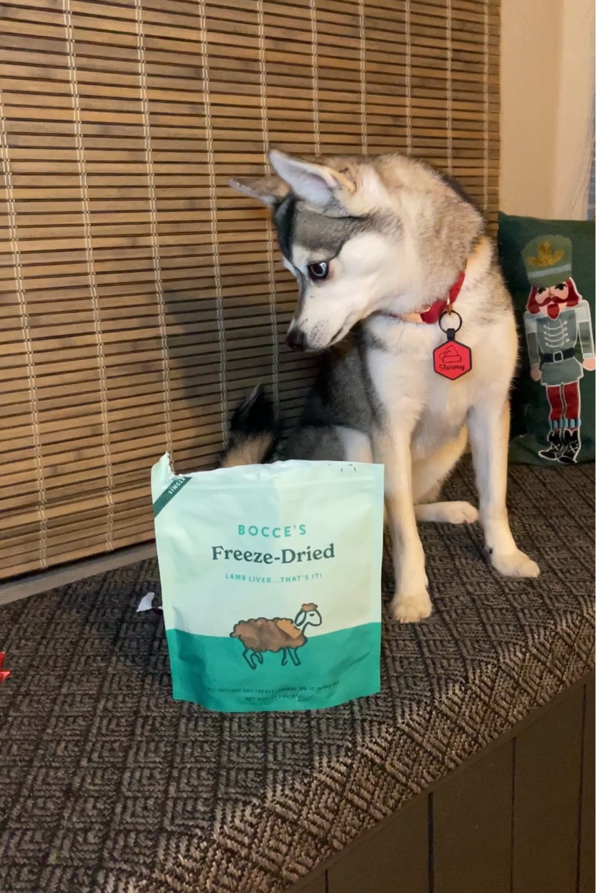 Single ingredient treats for pups!

#LTKFamily