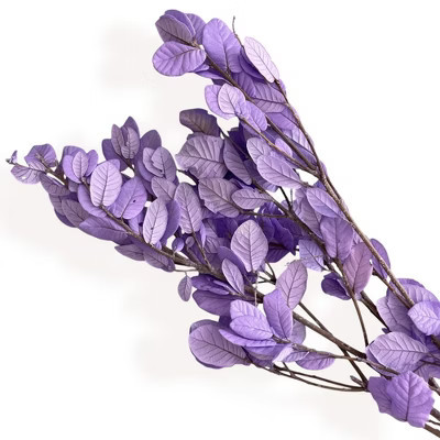 Alilang Decorative Dried Leafy Branches for Modern Home Decoration and Floral Arrangements, 15.5 Inches - Purple | Target