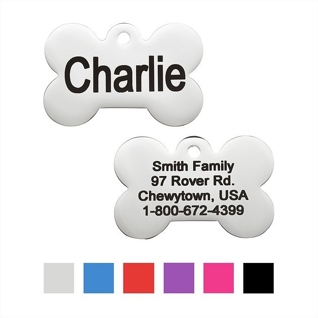 GOTAGS Personalized Stainless Steel ID Tag, Bone, Silver, Regular - Chewy.com | Chewy.com