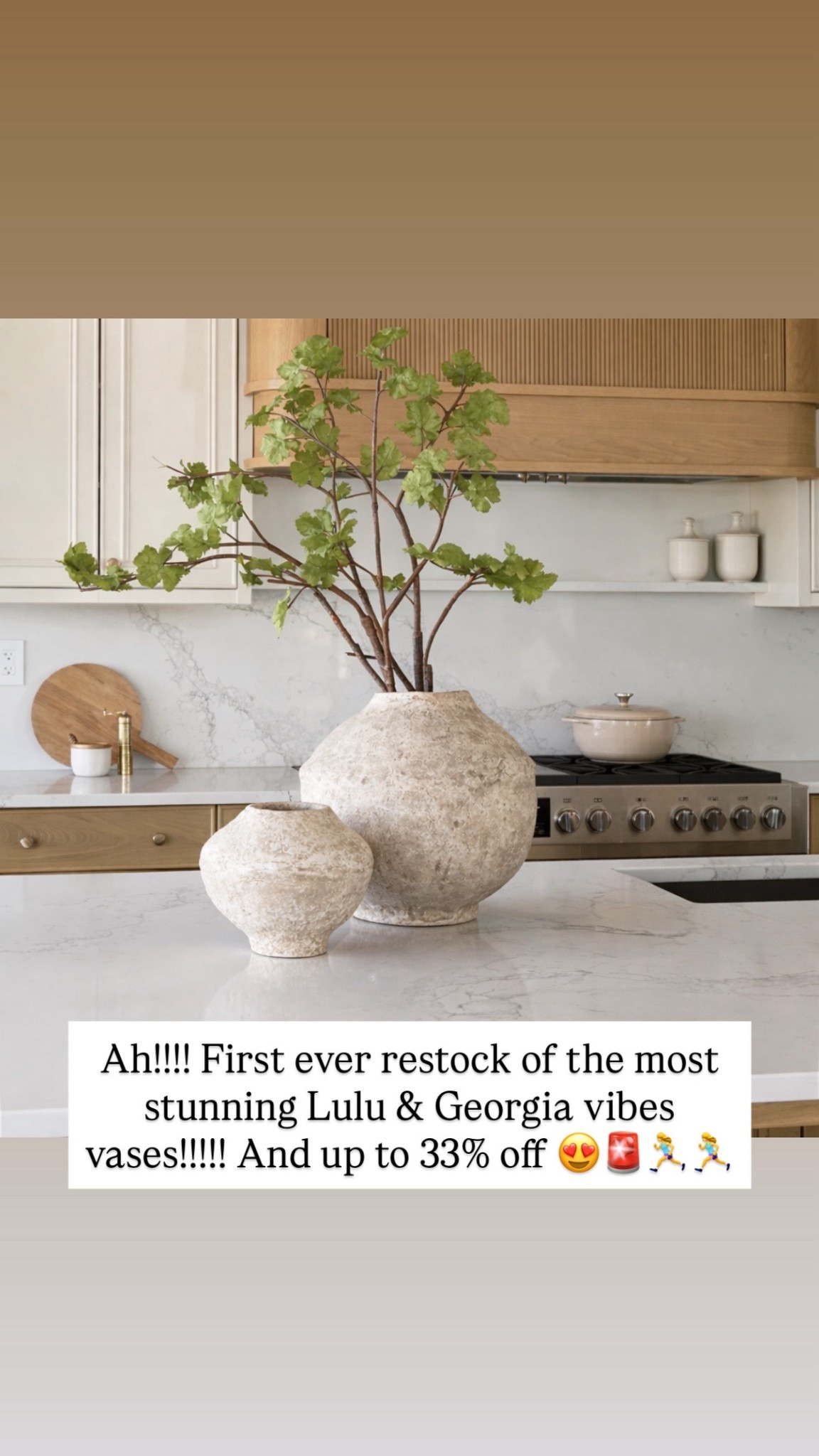 First restock lulu & Georgia inspired vases!! The most beautiful review photos 

#LTKHome #LTKSaleAlert