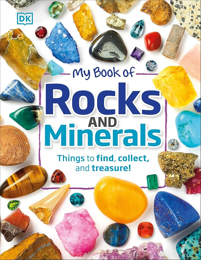 My Book of Rocks and Minerals: Things to Find, Collect, and Treasure | Amazon (CA)