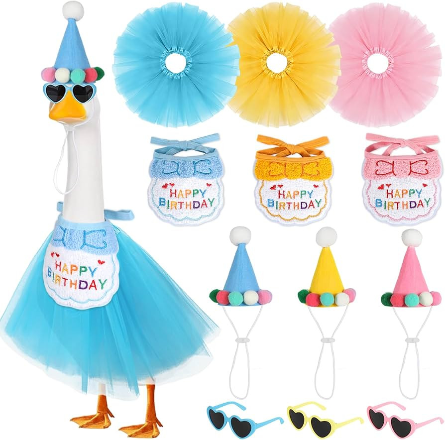 3 Sets Happy Birthday Porch Goose Outfits with Party Hat Bandana Tutu Skirt Glasses Birthday Ceme... | Amazon (US)