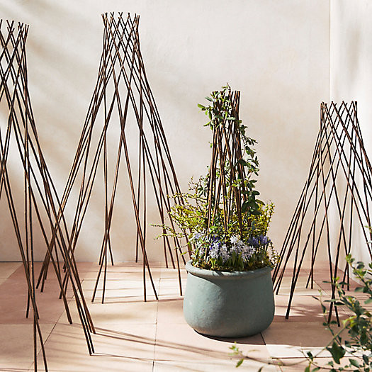 Woven Willow Cone Obelisk | Terrain