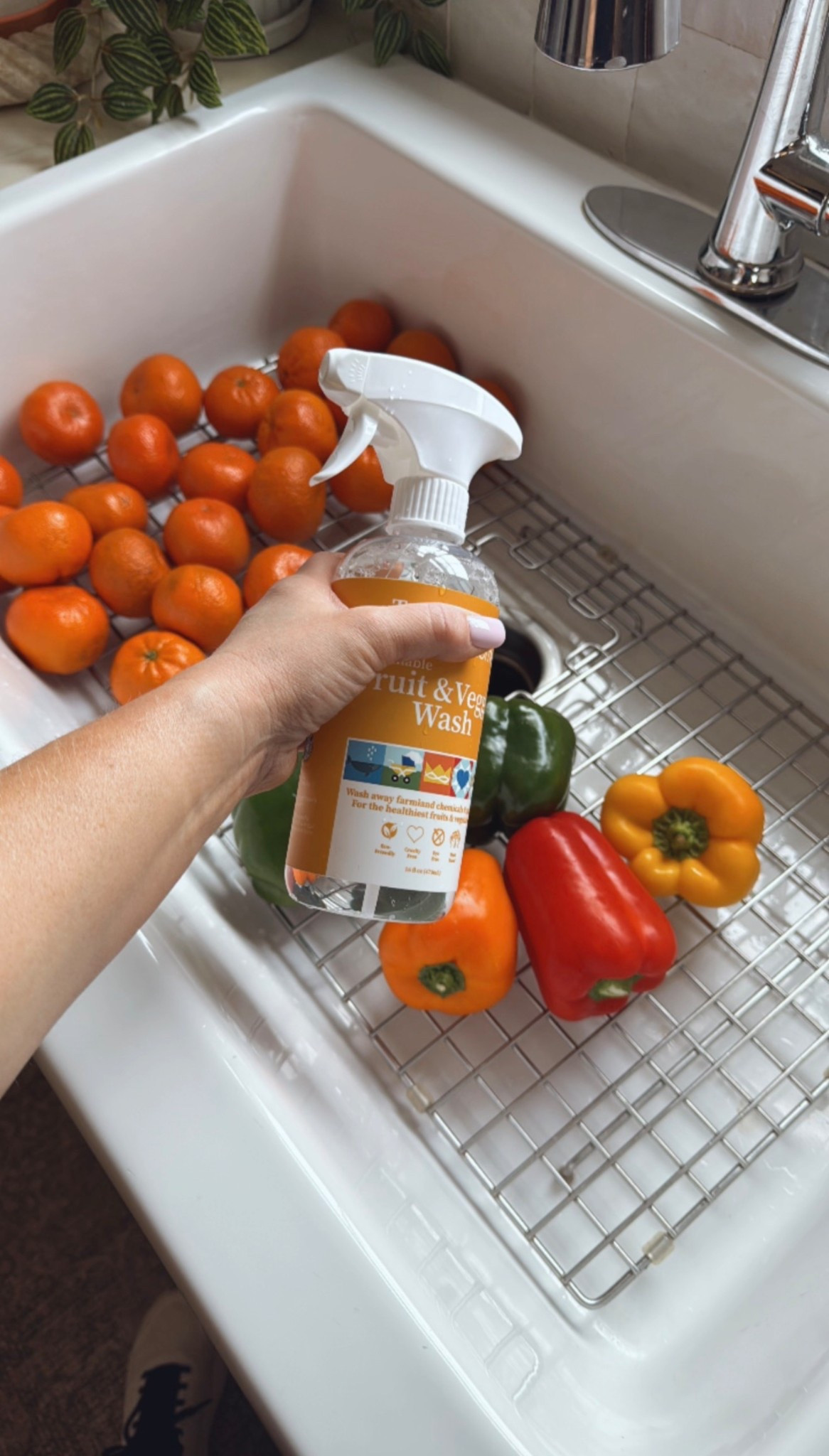 Non toxic fruit and veggie wash 

Comes with the reusable bottle amd two packets of cleaning concentrate 

#LTKfamily #LTKfindsunder50 #LTKhome
