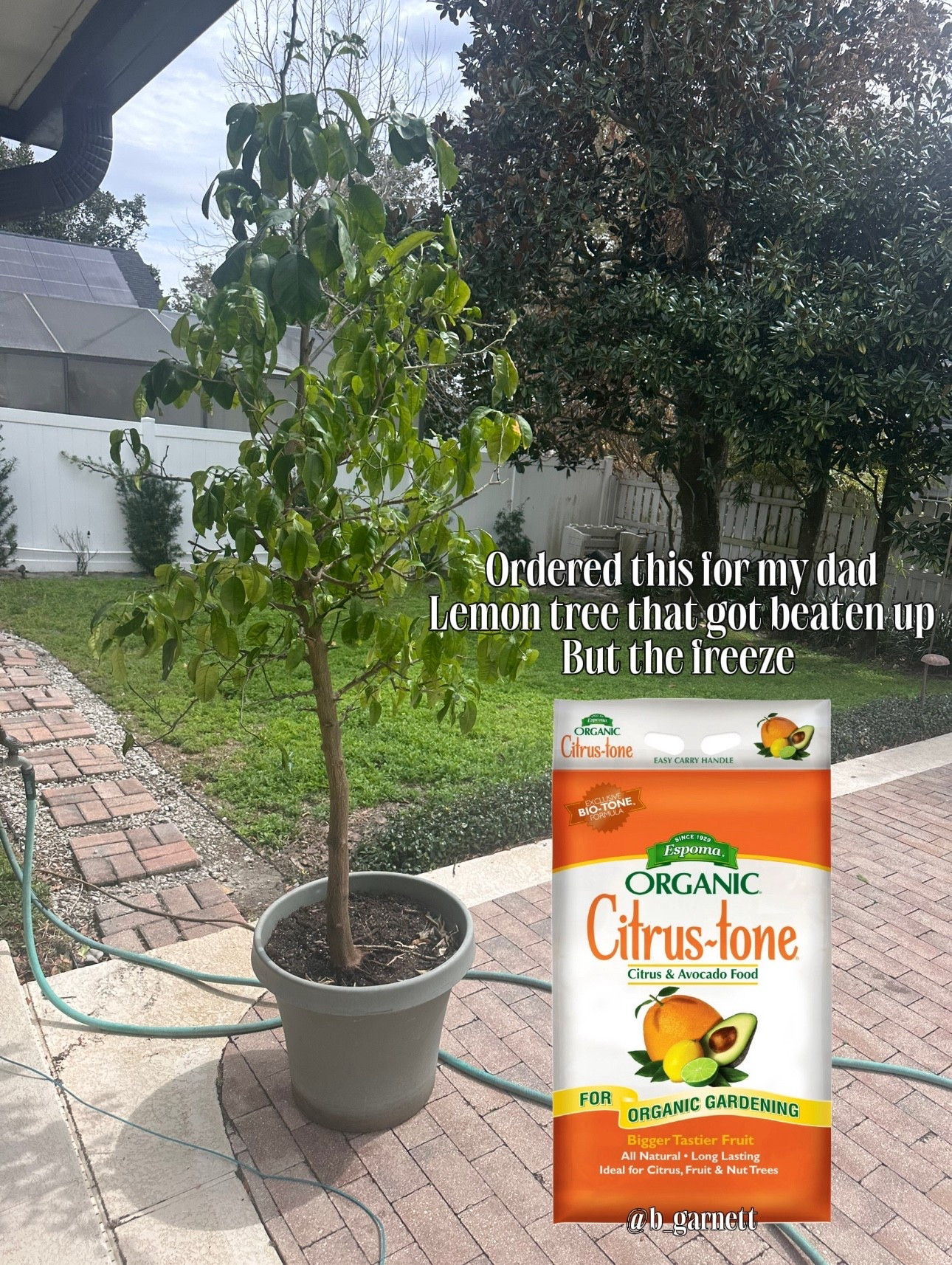 My citrus trees took a hit with the freezing temps we’ve been having in Fl so I’ve ordered this to try to bring it back to life 

Gardening | citrus trees took | lemon tree | gardener 

#LTKdayinmylife #LTKHome #LTKSpringSale