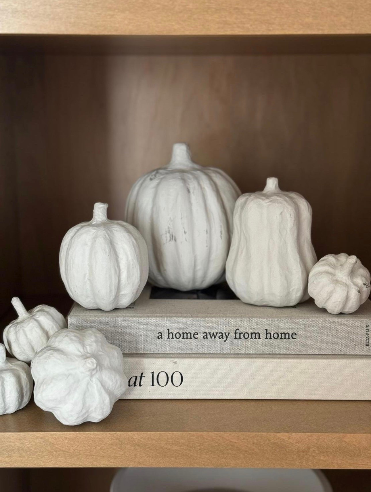 Neutral fall decor! Faux pumpkins

#LTKdayinmylife #LTKSeasonal #LTKHome