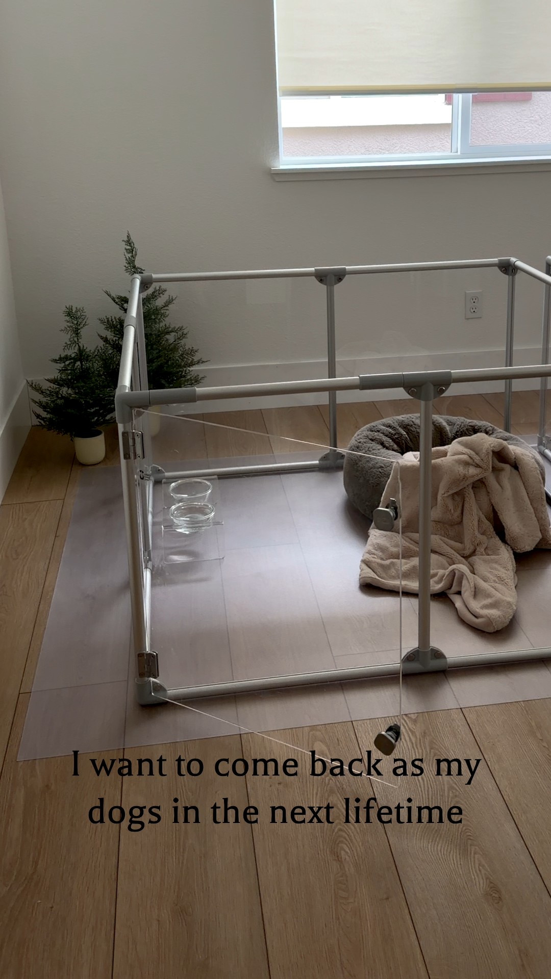 For all the dog mama’s

#LTKmomlife #LTKCyberWeek