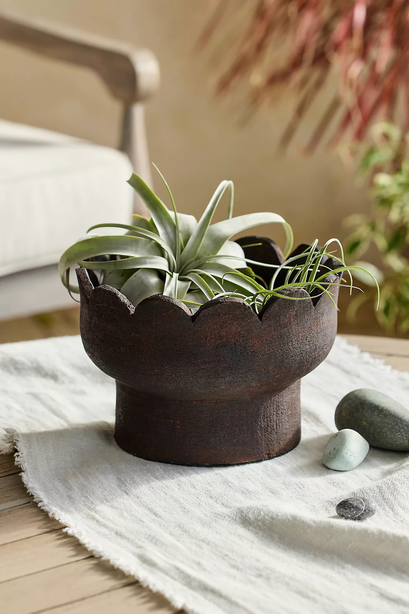 Scallop Edge Terracotta Bowl Planter | Anthropologie (US)