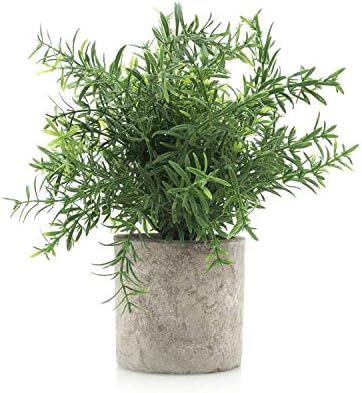 Mini Potted Faux Plant | Amazon (US)