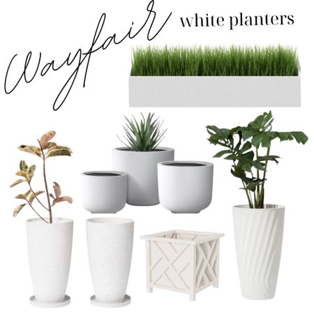 Favorite white planters 🌿

#LTKSpringSale #LTKhome #LTKsalealert