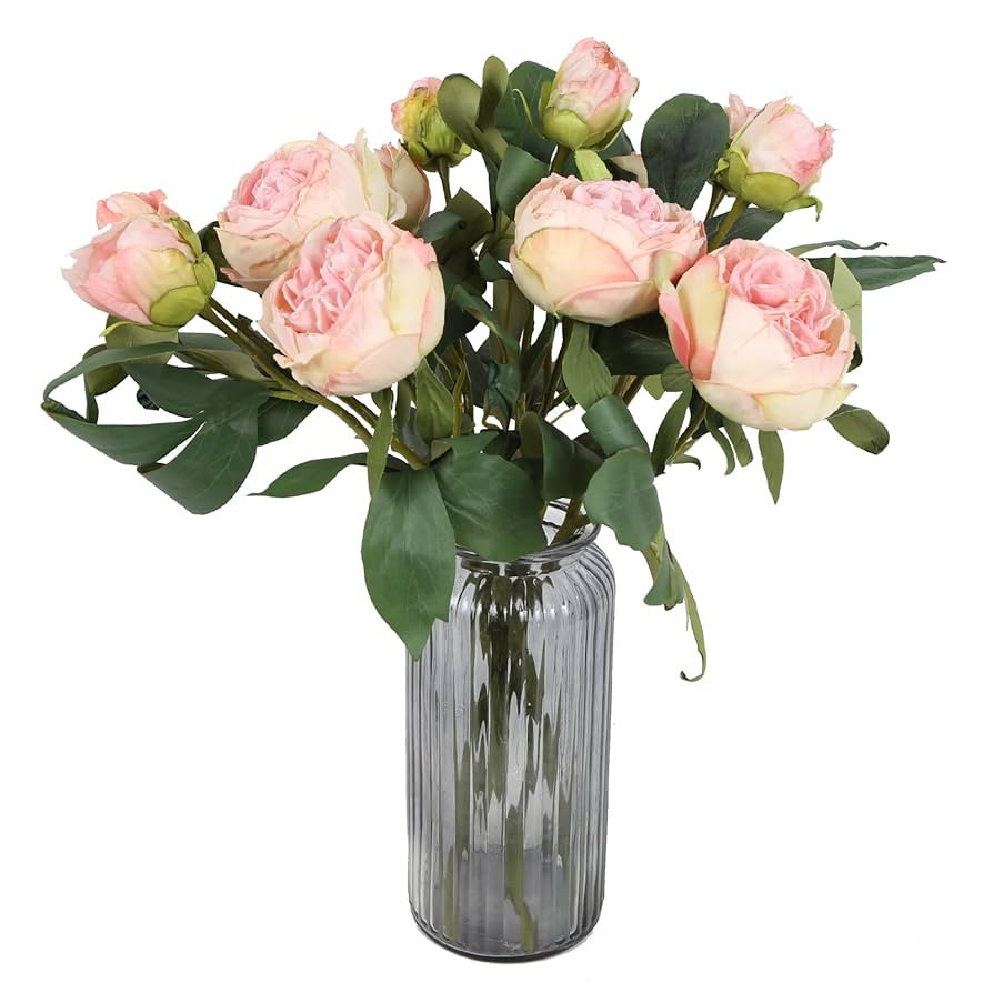 IPOPU Pink Peonies Artificial Flowers 5PCS 10heads Vintage Silk Peonies Pink Silk Flowers Fake Pe... | Amazon (US)