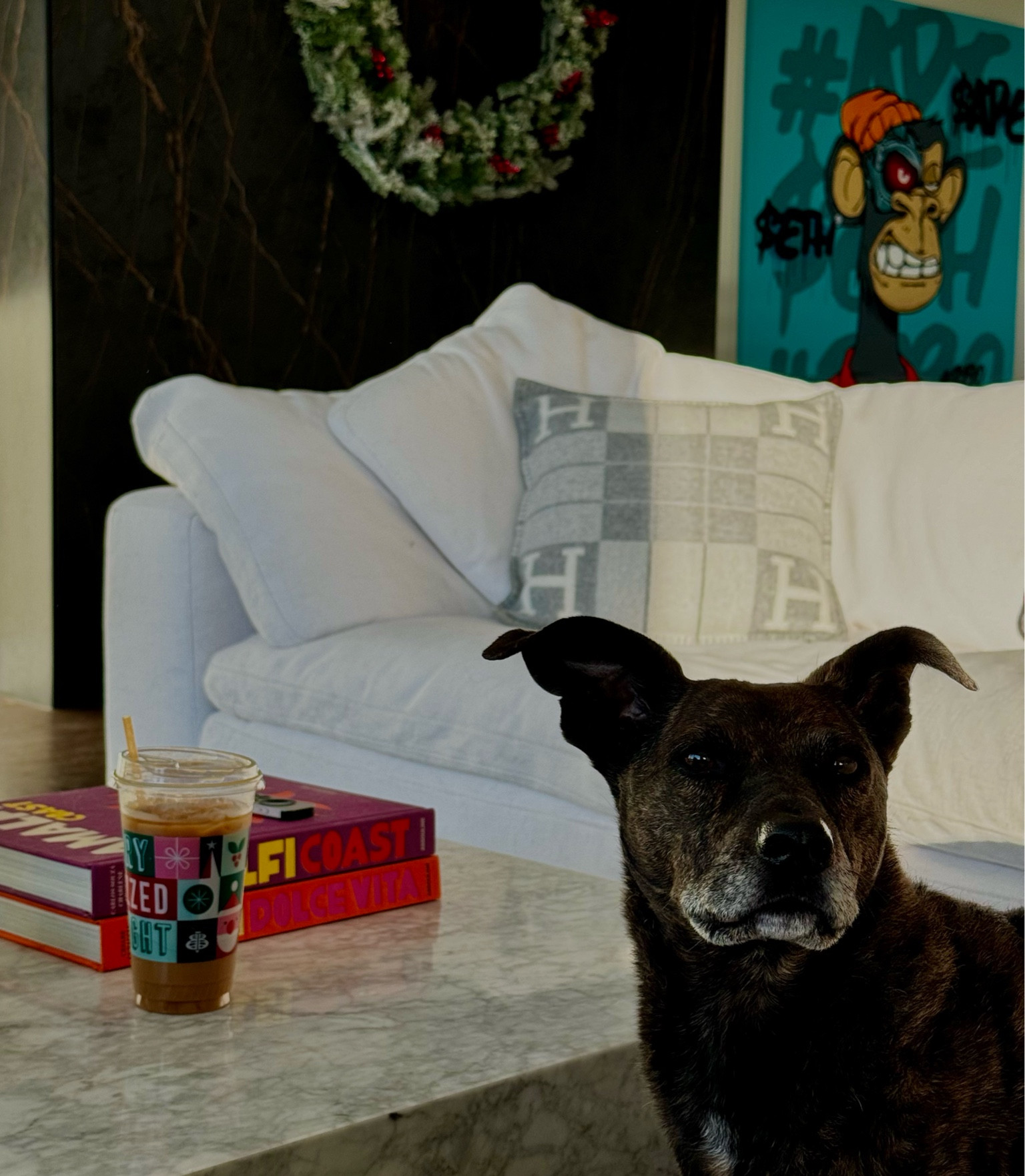 Hermes Avalon cushion from Hermes.com but linked similar 
Coffee table books 
Faux blanket throw blanket for couch on Amazon