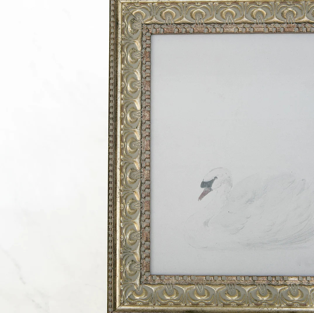 Swan Framed Art | Elements by Remedy