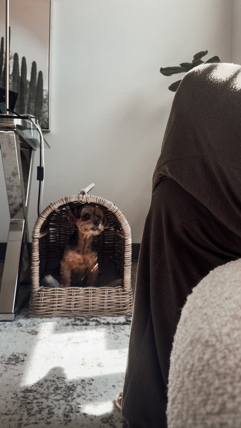 Dog Canopy Beds

Scroll to shop. I’m so glad you’re here.

#LTKPet


#LTKHome