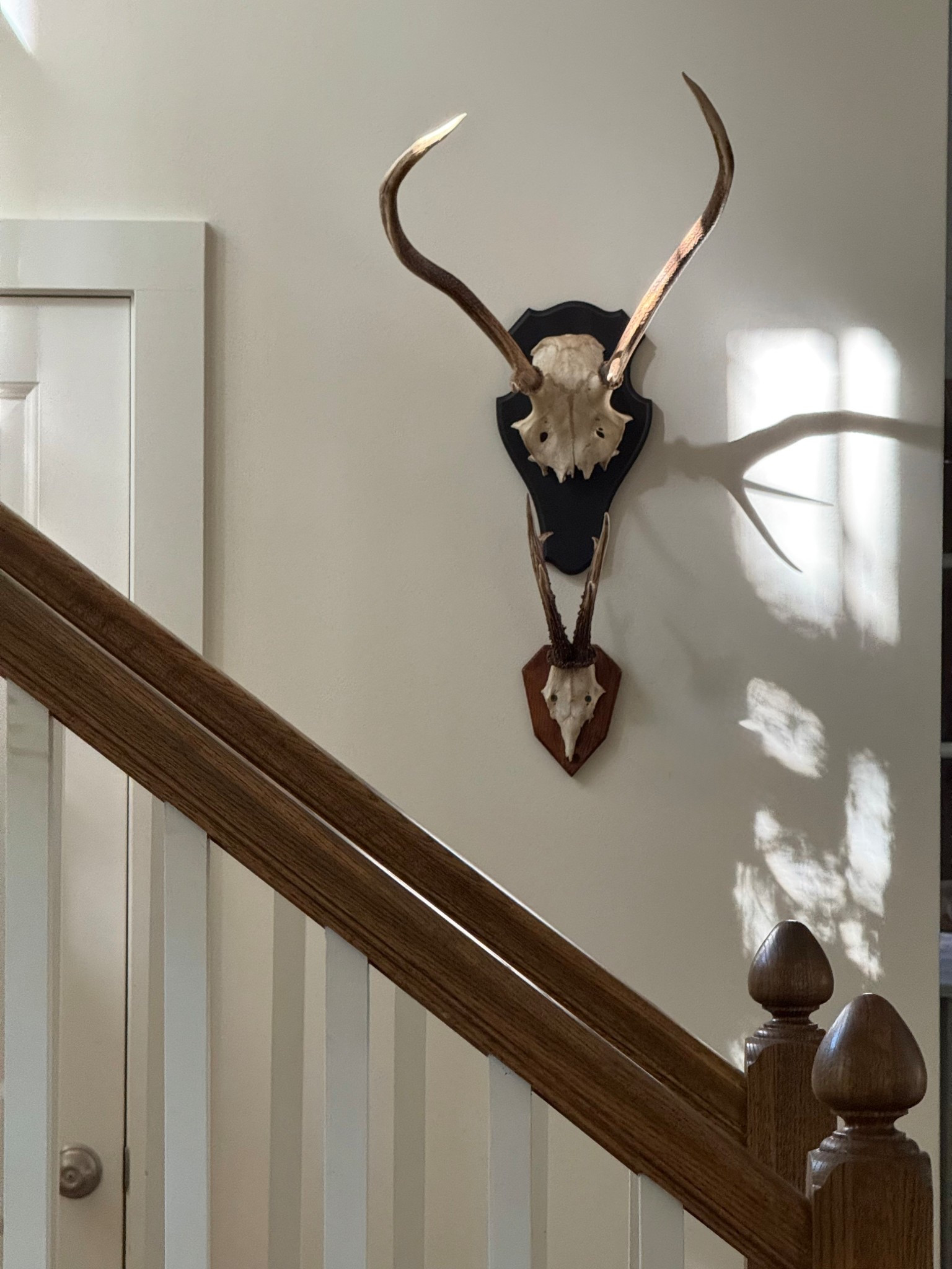 Wall art, southern wall art, wall decor 

#LTKHome