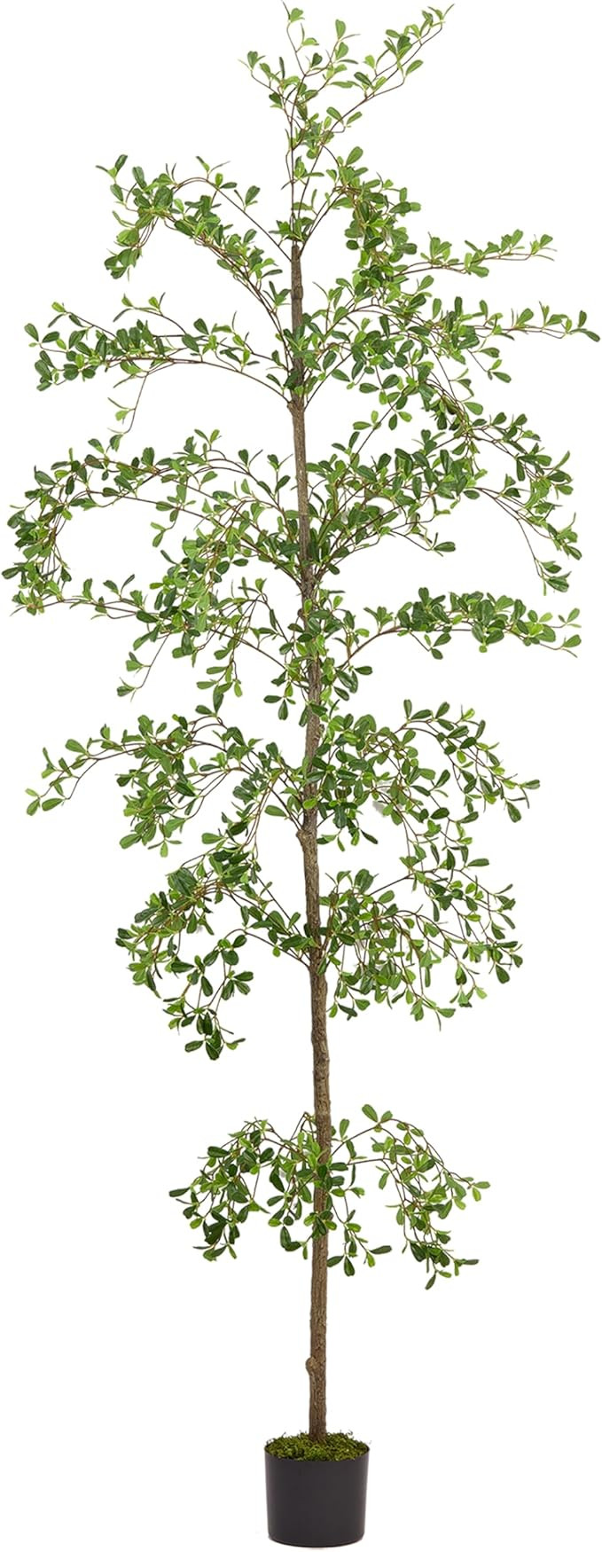 Shady Lady Faux Tree 7ft for Home Décor Black Olive Tree 84inches Realistic Fake Potted Plants w... | Amazon (US)