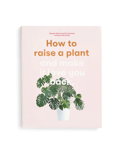 How to Raise a Plant and Make It Love You Back | ban.do