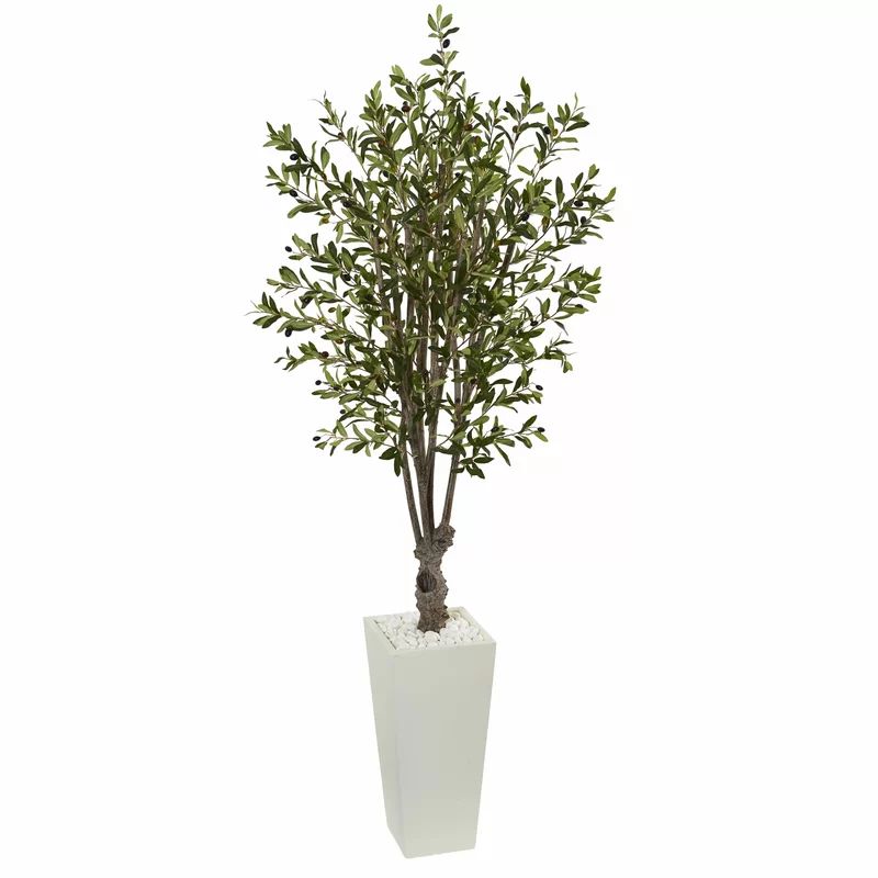72" Artificial Olive Plant in Planter | Wayfair North America