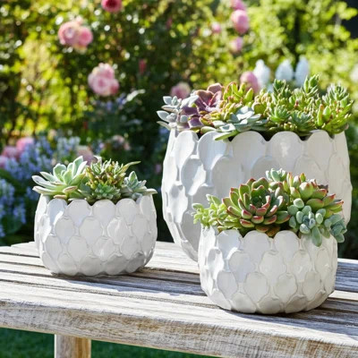 Planter Set Stoneware Ceramic Textured Quatrefoil Indoor Outdoor Use Set Of 3 - 11", 9", 7" White | Wayfair North America