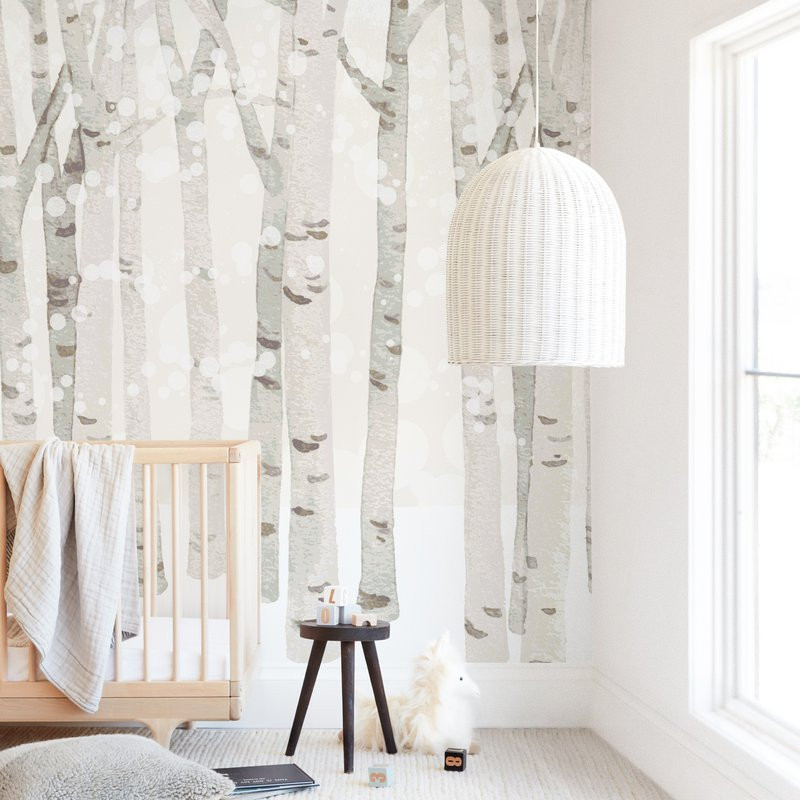 Birch Woods in Winter | Minted