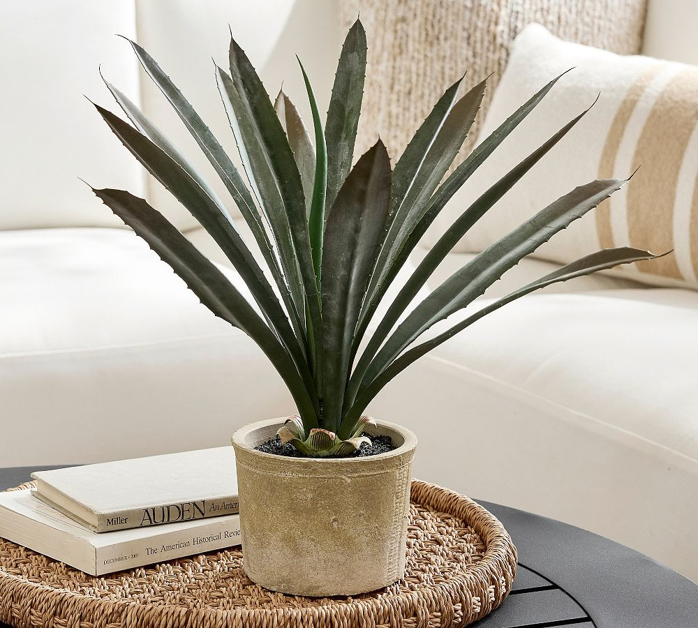 Faux Composed Agave Plant | Pottery Barn (US)
