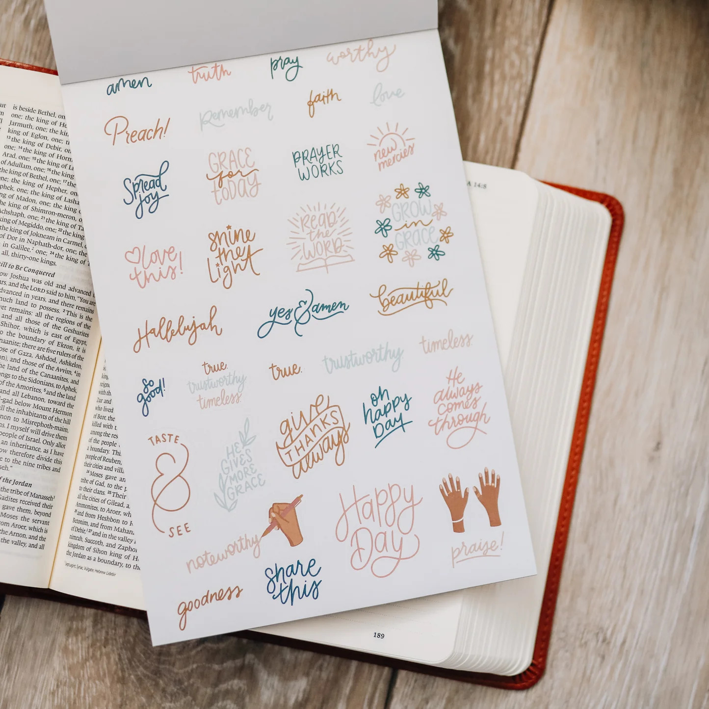 Bible Study Stickers | The Daily Grace Co.