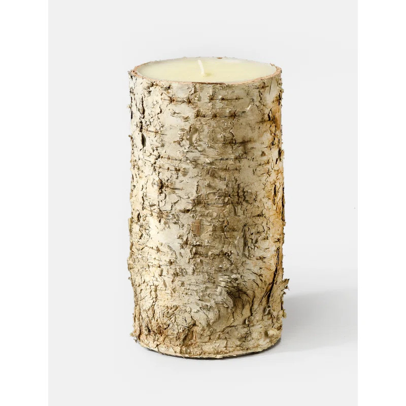 Loon Peak Birch Bark Unscented Pillar Candle & Reviews | Wayfair | Wayfair North America