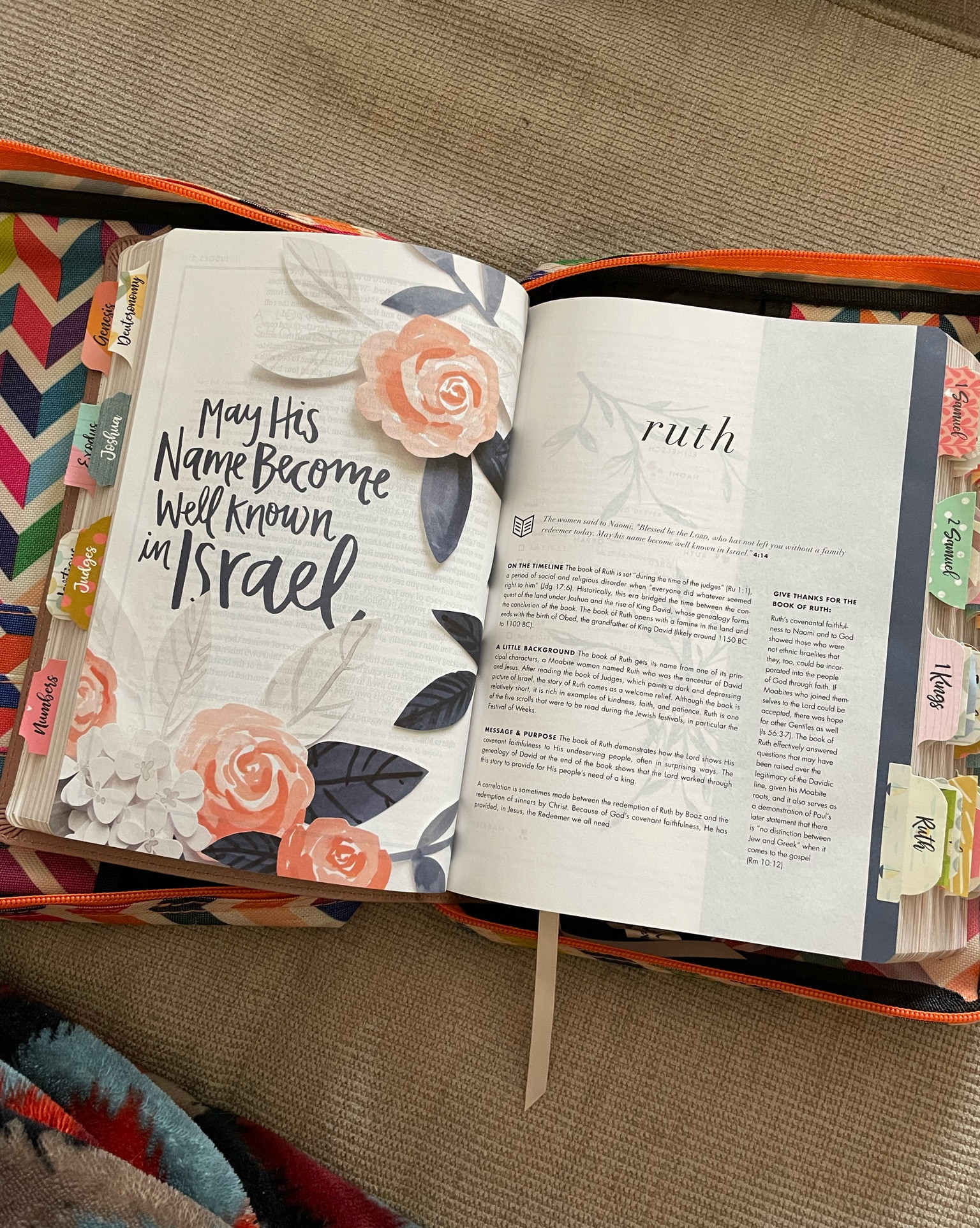 Women’s Bible | Cute Bibles for Women | pink Bible | Bible Study Necessities 

#LTKfamily #LTKGiftGuide #LTKMostLoved