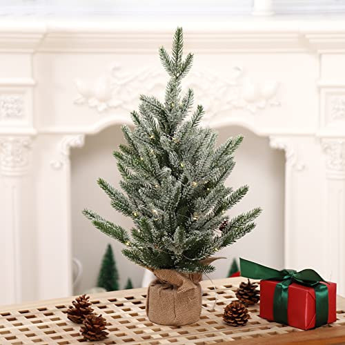Adeeing 24 Inch Pre-lit Artificial Tabletop Mini Christmas Tree with Lights, Small Green Frosted Christmas Trees with Burlap Base, Miniature Pine Christmas Trees Decoration, 2 Ft | Amazon (US)