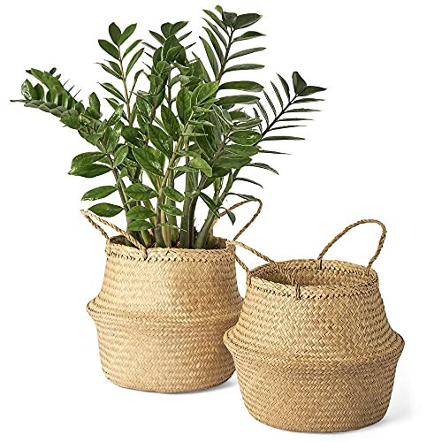 Artera Woven Seagrass Plant Basket - Pack of 2, Wicker Belly Basket Planter Indoor with Plastic Liner and Handles, Natural Plant Pot for Fiddle Leaf Fig Tree, Snake Plant and Monstera. (M) | Amazon (US)