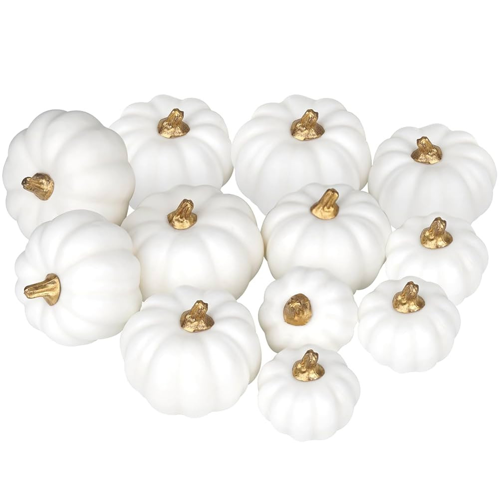 Miaikoe Artificial Pumpkins 12 Pieces Various Sizes Bulk White Harvest Lifelike Pumpkin Fake Foam... | Amazon (DE)