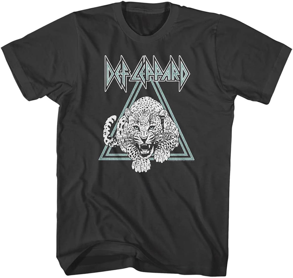 Def Leppard Rock Band Logo and Leopard Adult Short Sleeve T-Shirts Graphic Tees | Amazon (US)