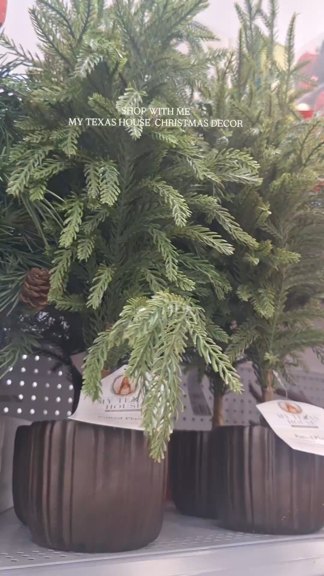 My Texas House Christmas Decor


#christmastree #christmasribbon #christmasdecor #christmasgarland 

#LTKHoliday #LTKHome #LTKFindsUnder50