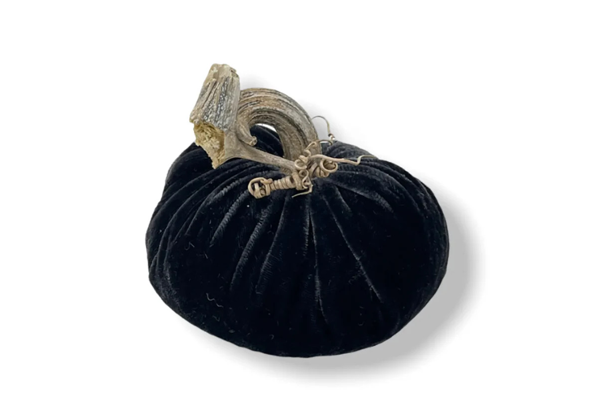 PP Charcoal Velvet Pumpkin | Lucy's Market