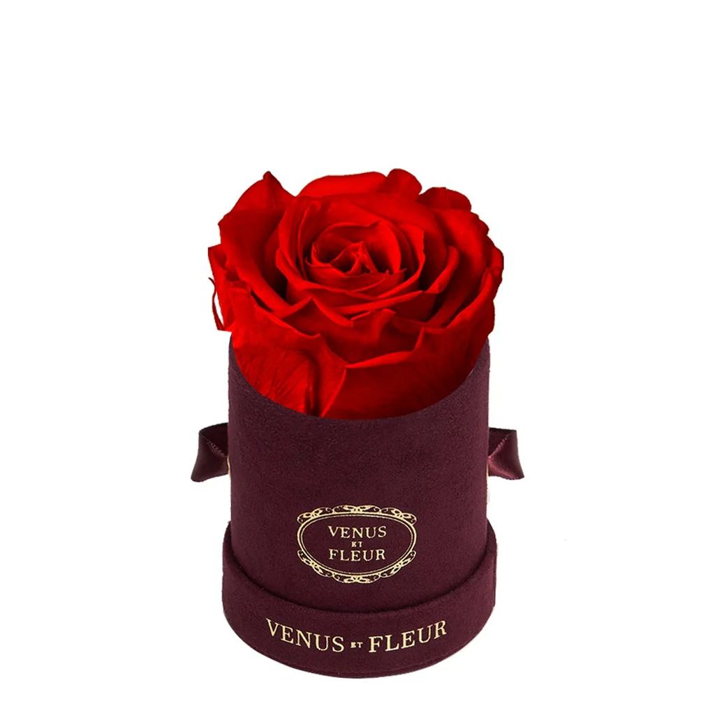 Le Mini Round - Merlot Suede with Eternity Roses | Venus ET Fleur