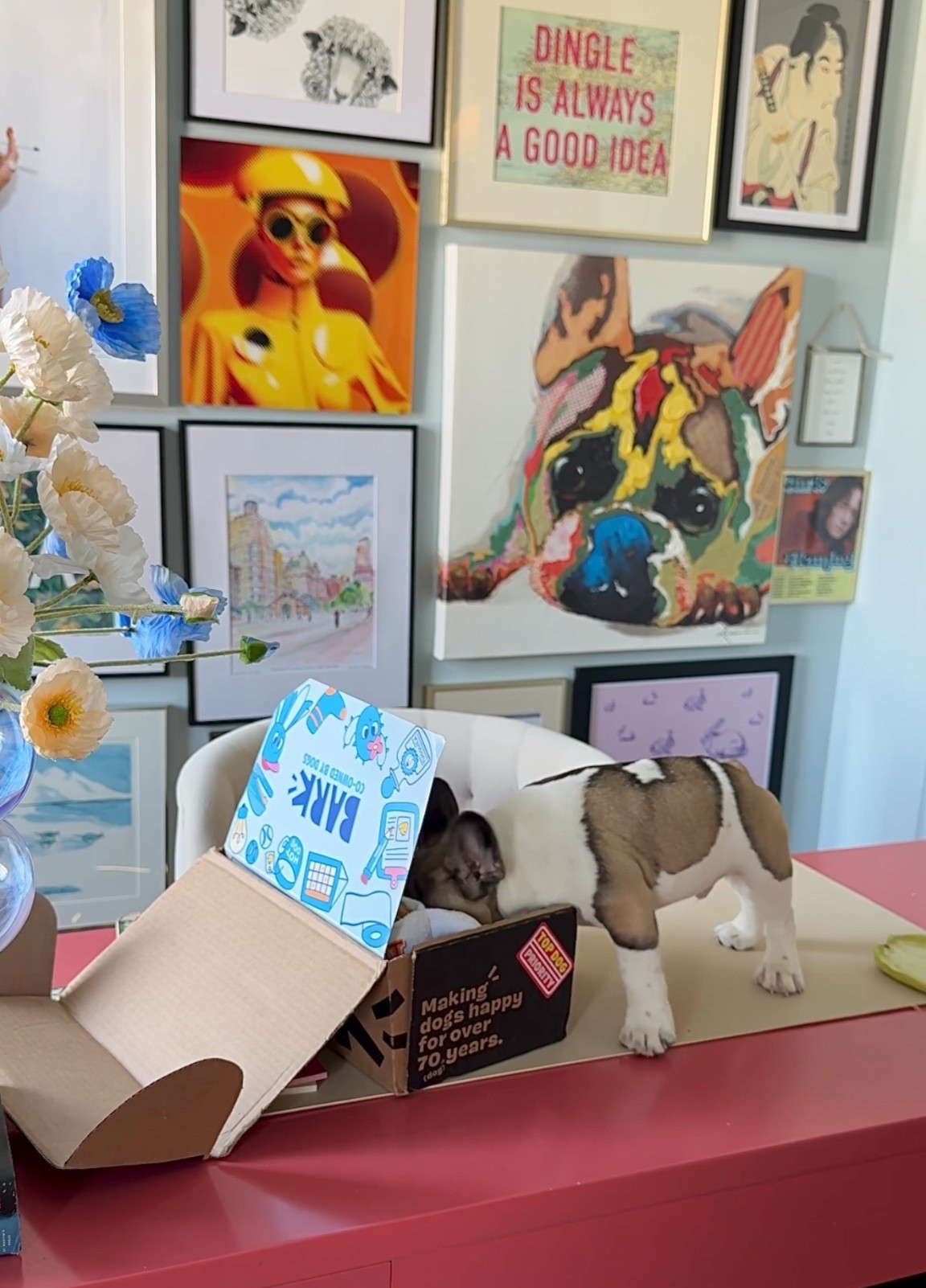 Give the gift of @BarkBox!

#ad #BarkPartner #BarkCoOwned #ShopDog 

#LTKPets