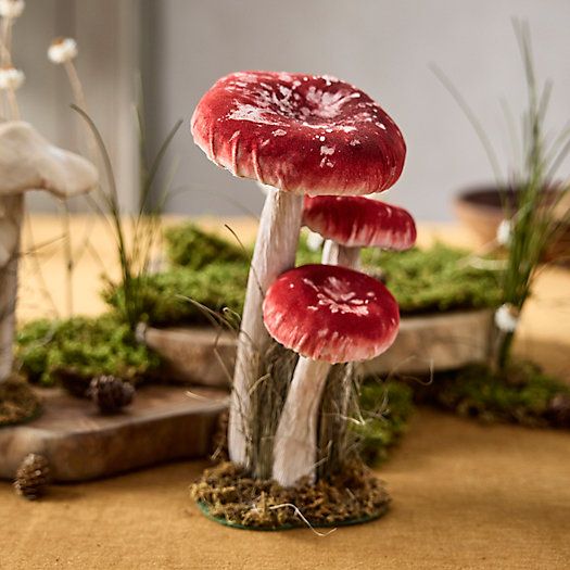 Velvet Mushrooms, Set of 3 Large | Terrain