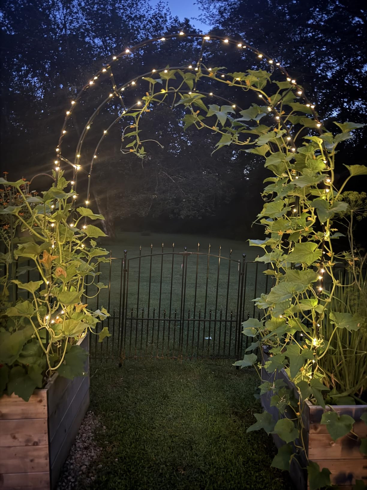 Garden Arch Trellis for Climbing Plants Outdoor - 4.6 * 7.8Ft, 100% Metal Sturdy Garden Arbor wit... | Amazon (US)