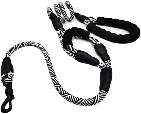 BTINESFUL Double Handle Traffic Dog Leash- 6Ft x 1/2" Dual Handle Lead Rope Dog Leash with 2 Padd... | Amazon (US)