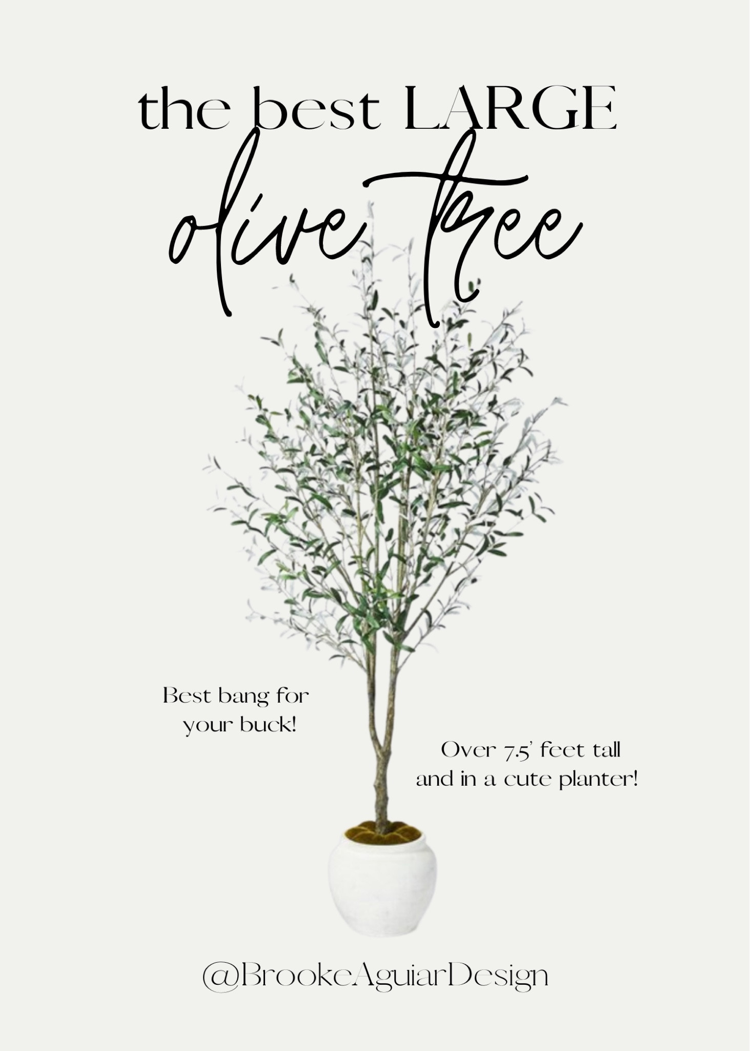 The best large olive tree for the price! This one is over 7.5 feet tall and includes a cute planter! It’s comparable to design alternatives for double the price! It’s been sold out forever but back in stock! 

Target, faux tree, olive tree, McGee and co, studio McGee, budget picks, greenery, planter, style tip

#LTKstyletip #LTKhome