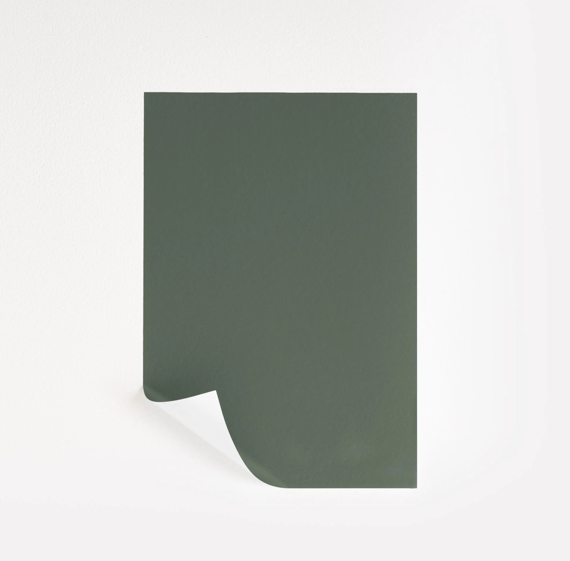 Basil  Paint Sample | Samplize