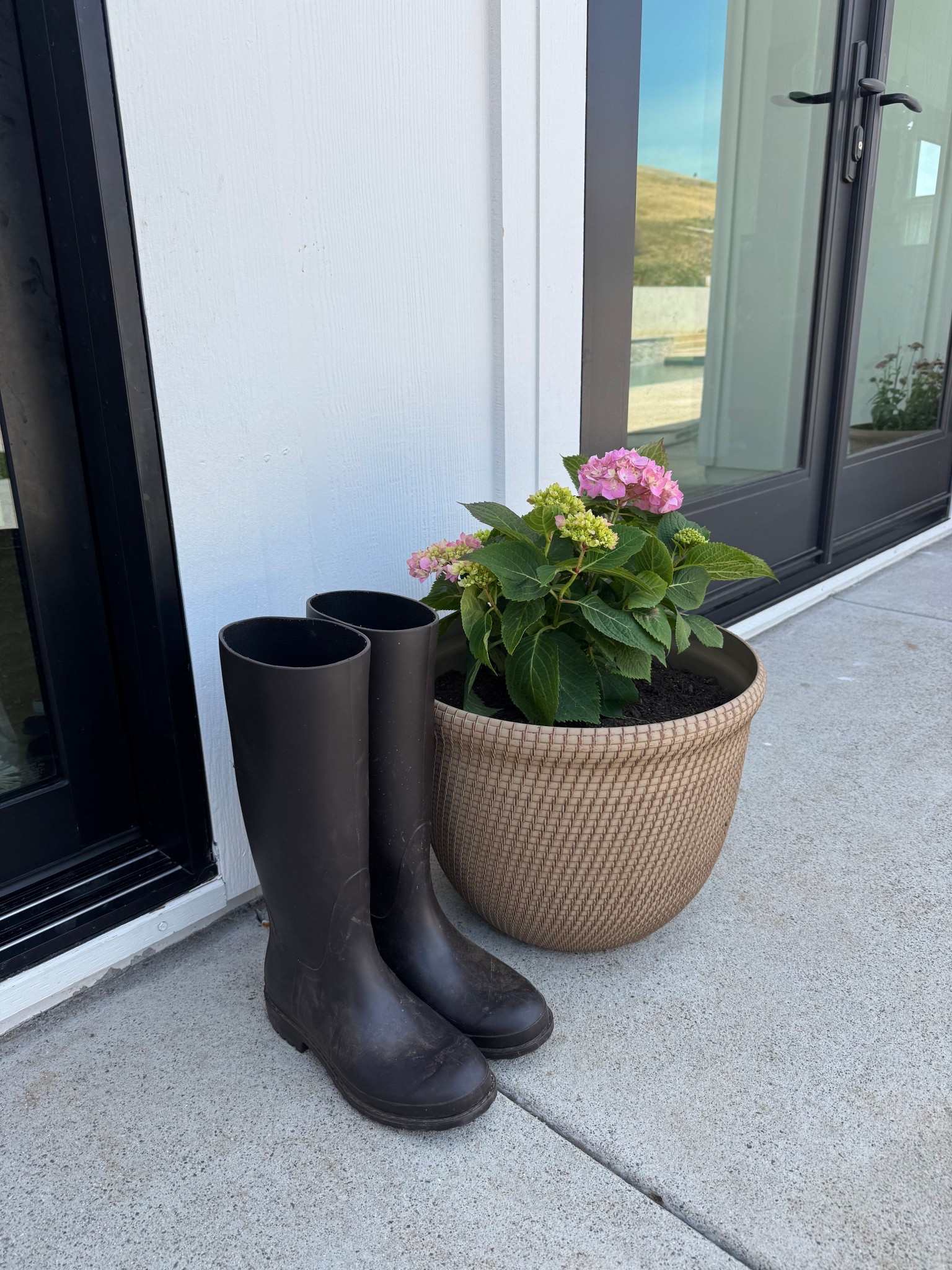 Planting all the flowers lately! This planter pot is so cute and so affordable 