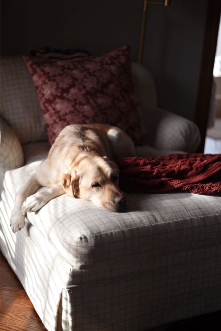 Penny likes a good cozy throw even in the summer. 😄 Also, I’ve linked a great outdoor blanket from #Nordstrom that is under $70!

#hyggehome
#outdoorblanket
#cozythrows

#LTKFamily #LTKHome