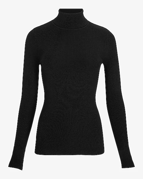 Ribbed Fitted Turtleneck Sweater | Express