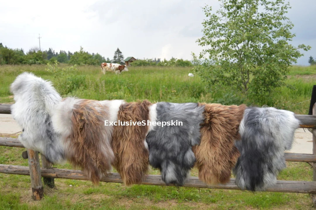 SALE!! Natural 3 color Genuine Sheepskin rug 100% Sheep Skin Leather Sheep Skin Decorative Rug Co... | Etsy (US)