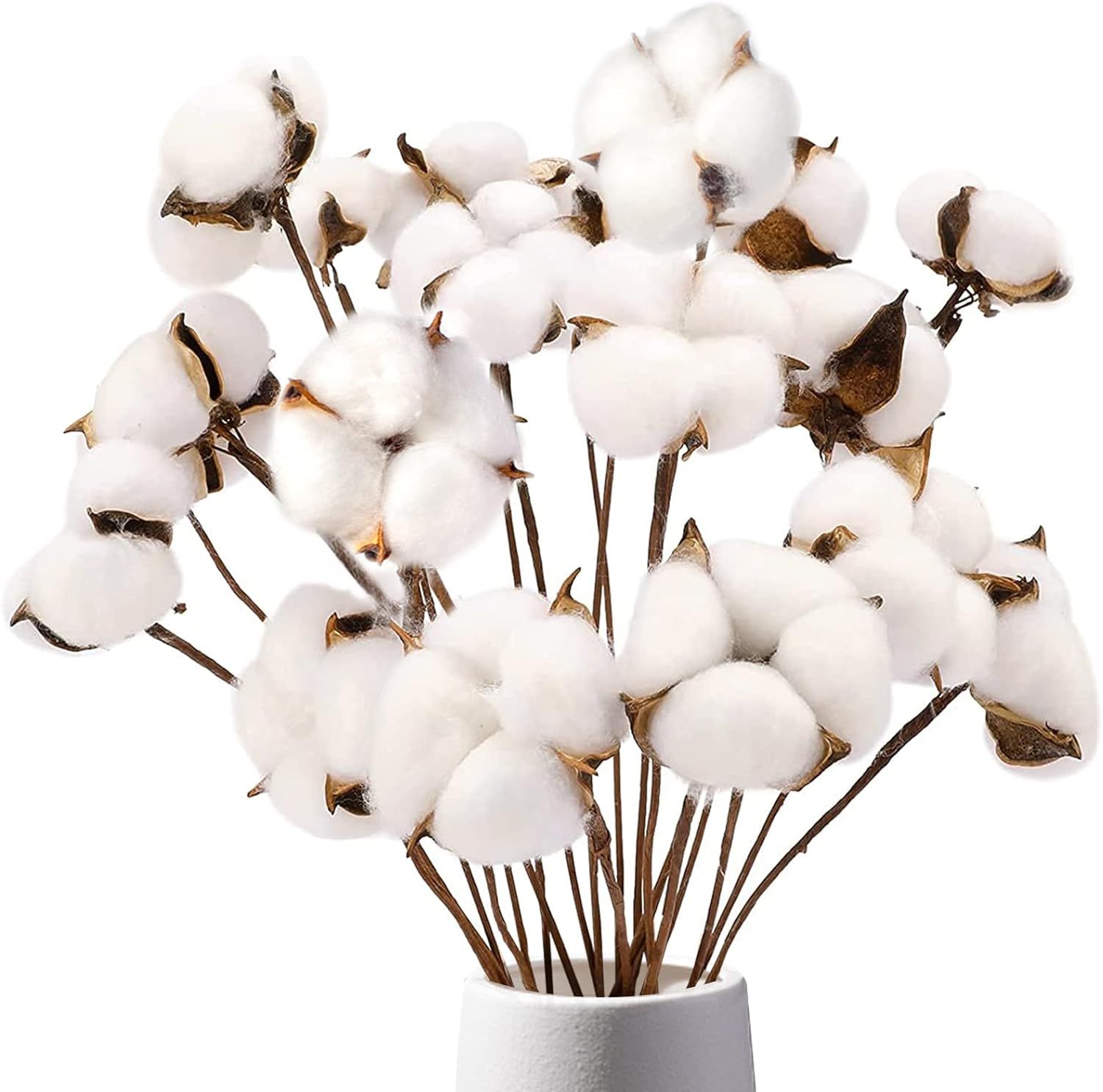 DomeStar Cotton Stems, Natural Dried Cotton 8 Packs Total 15 Bolls Cotton Sprigs Cotton Blooms Fl... | Amazon (US)