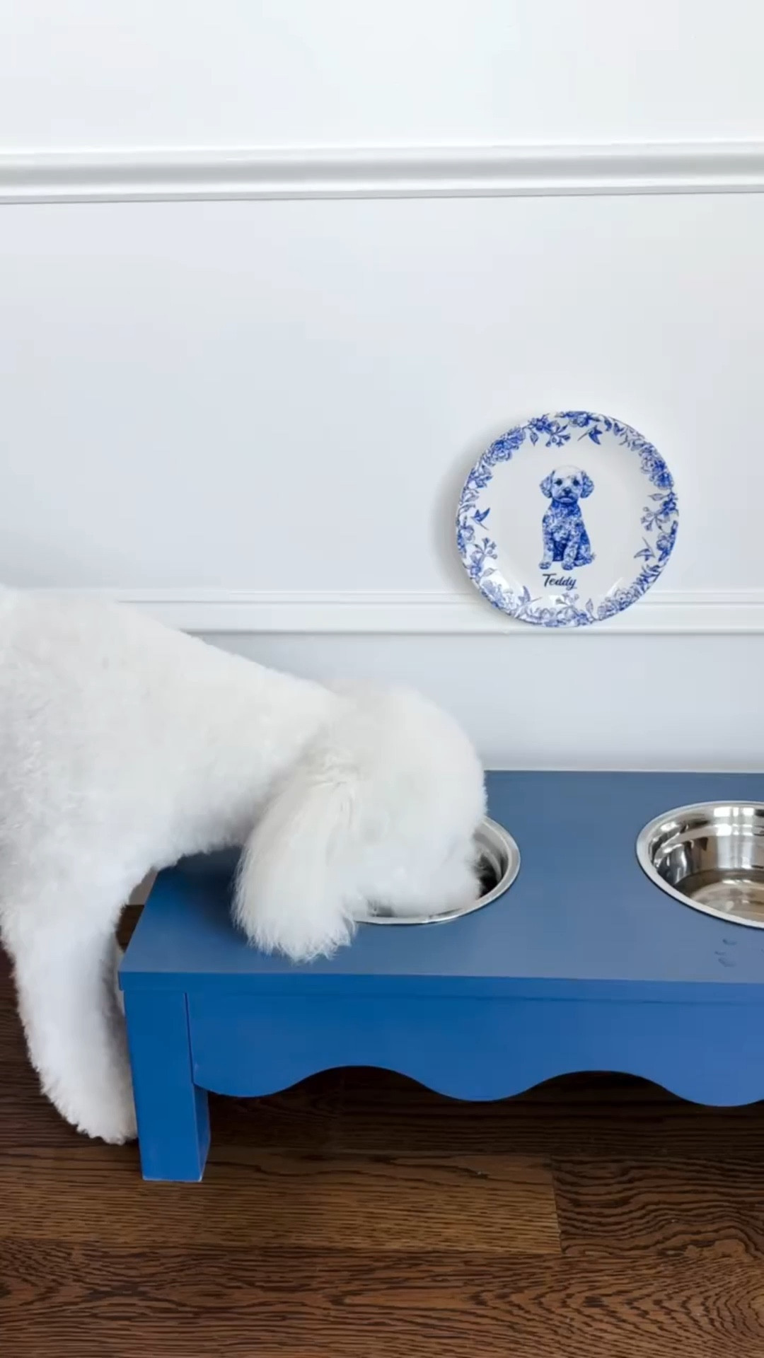 It’s no secret that Teddy is the MVP in our family, but it’s hard to work from home when he just wants to have fun! 

#LTKPets #LTKHome #LTKFamily